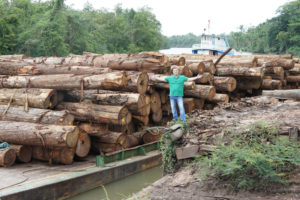 FSC certified logs arriving at the wholesale Brazill Mill