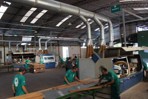 Tongue and Groove being produced