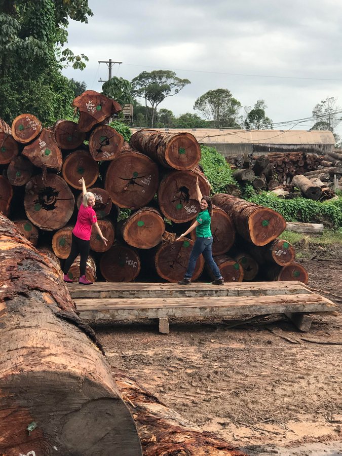 One of the massive massaranduba log piles at Lmber Queens - Sawmill