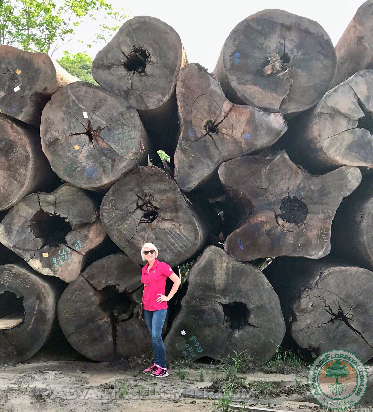 Massive Angelim Log Shipment
